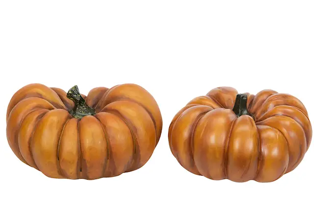 Pumpa Orange Mix Poly