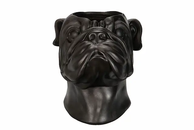 Bulldog-polypotti