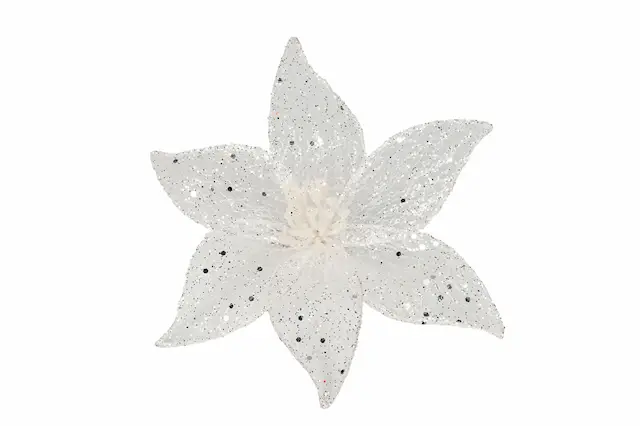 Blomma Vit Clip