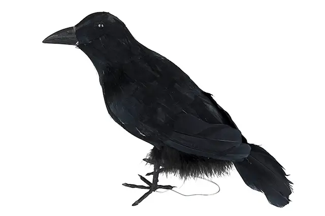 Korp Svart