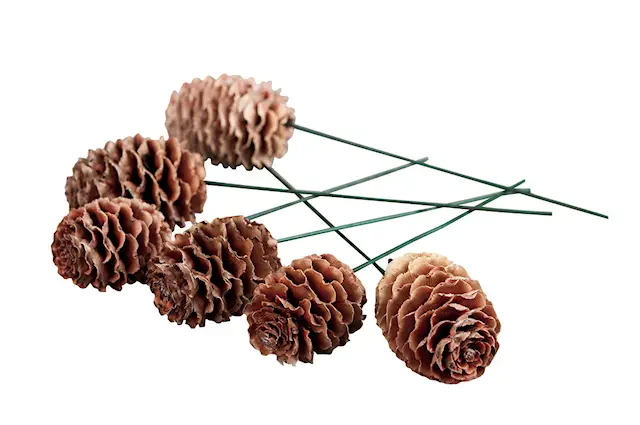 Stick Sabulosum Trådad Natur