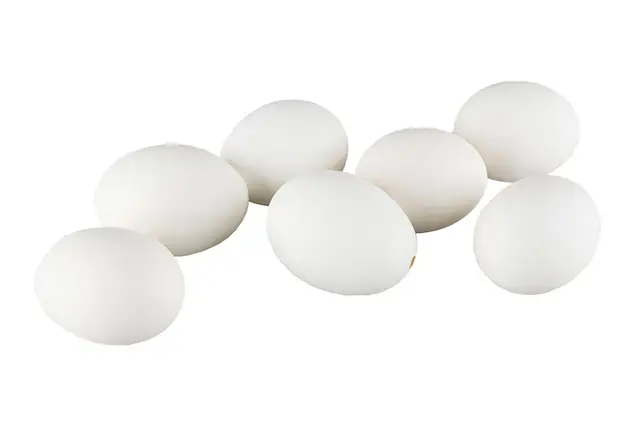 Hönsägg Vita