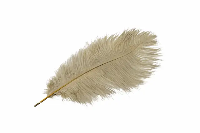 Strutsfjäder Mullvad/Blå%