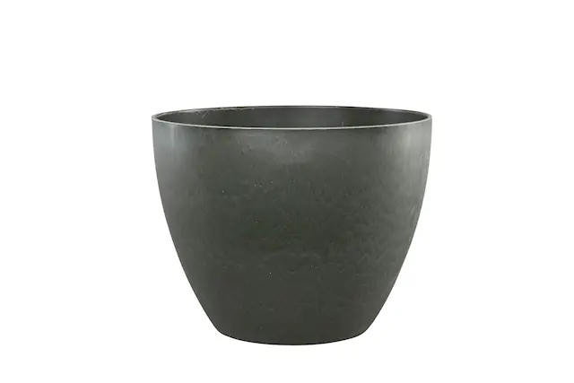 Kruka Pomba Grå
