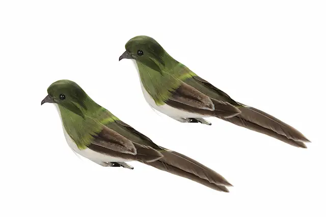 Fågel Clip Freja