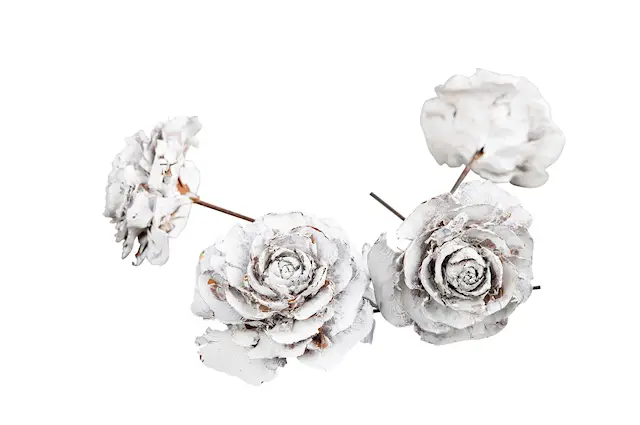 Kotteros Trådad W.Wash