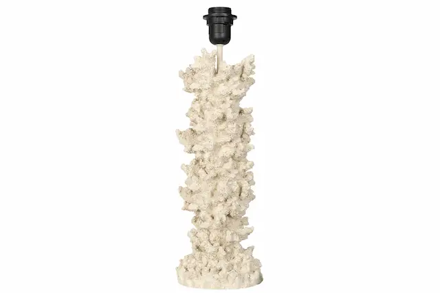 Lampfot Korall Poly