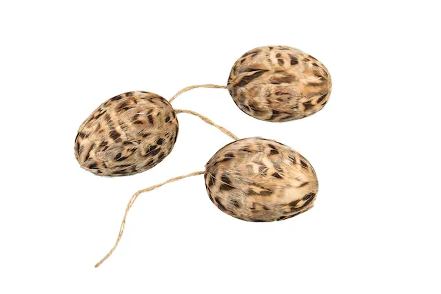 Ägg Rand Fjäder Häng