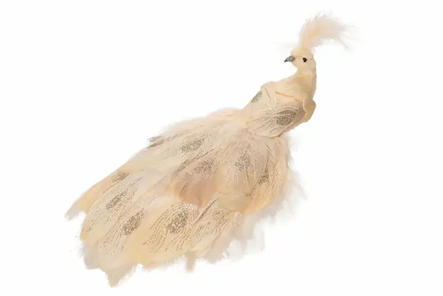 Påfågel Clip Diva