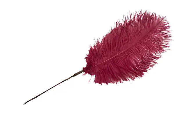 Stick Strutsfjäder Vinröd