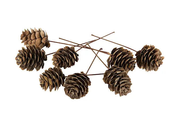 Stick Larixkotte Trådad Natur