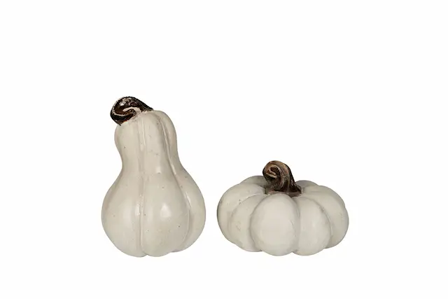 Pumpa Mini Vit Mix Poly