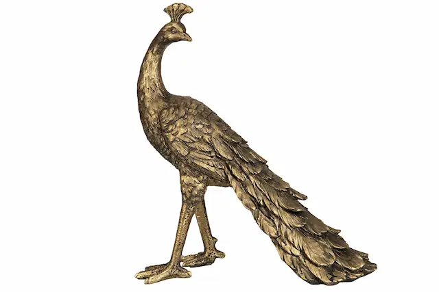 Peacock Gold Poly