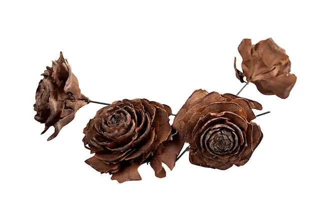 Kotteros Trådad Natur