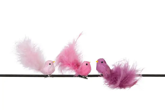 Fågel Clip Fjädermix Cerise
