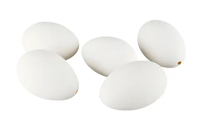 Gåsägg Vita