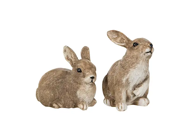 Kanin Vädur Barn Mix