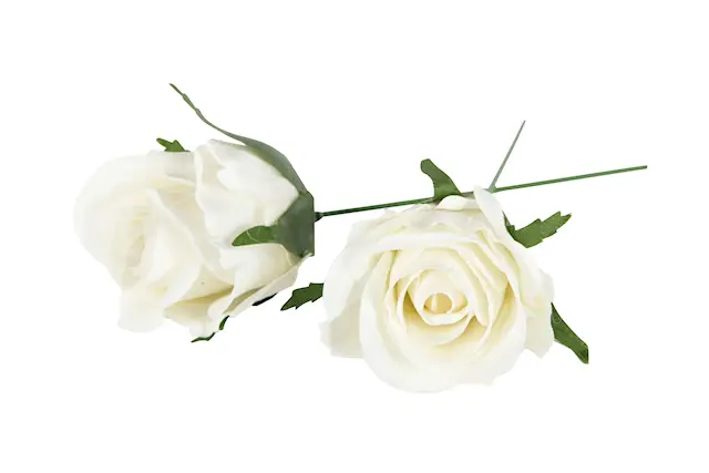 Ros Tyg Vattenfast Creme