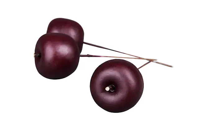 Tikku ~10 cm. Vain koristeeksi. Vedenkestävä.