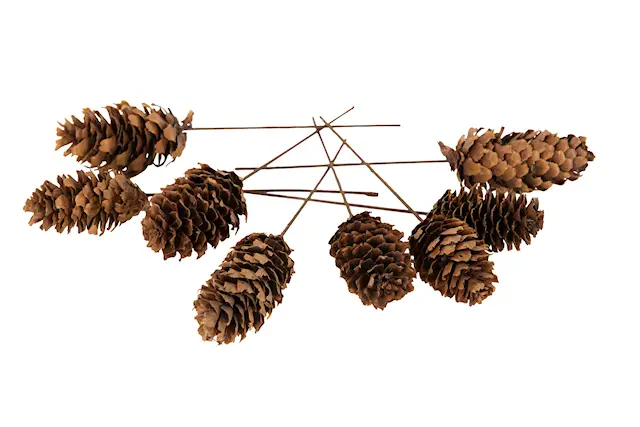Stick Kotte Trådad Natur