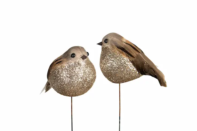 Stick Fågel Glimmer