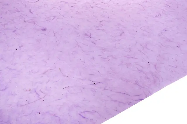 Vahattu silkkipaperi, violetti