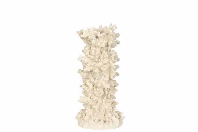 Kynttilänjalka Coral Poly