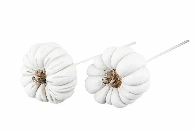 Pumpa Stick Vit Mix Poly