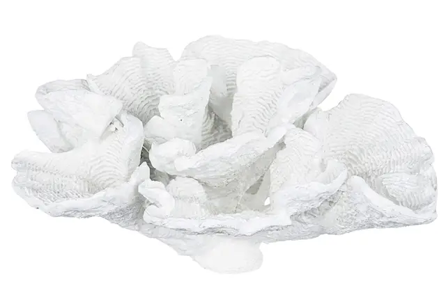 Korall Bred Vit Poly