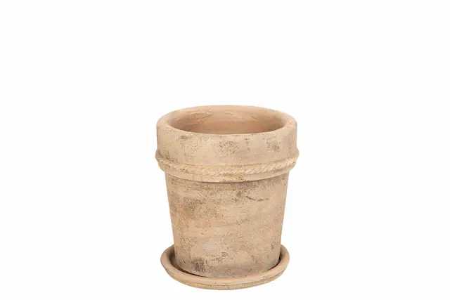 Kruka utomhus Med Fat Fortuna