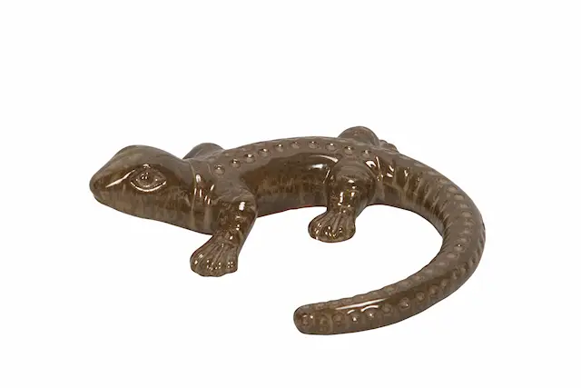 Trädgårdsdekoration Ödla Xenia