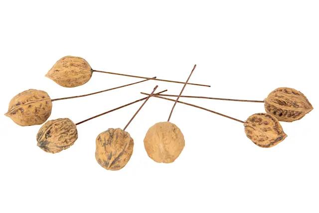 Stick Valnöt/Tråd Natur