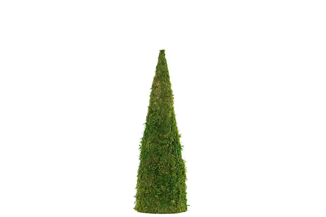 Mosskon