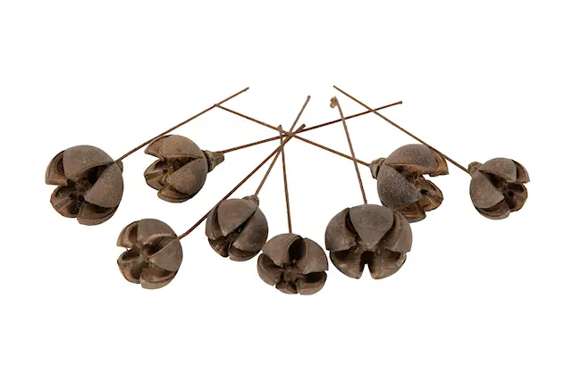 Stick Shizhi/Tråd Natur