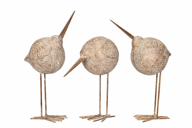 Fågel Seabird Poly