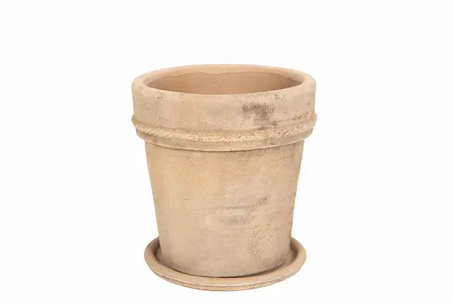 Kruka utomhus Med Fat Fortuna