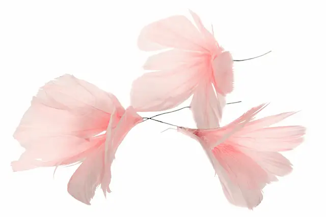 Fjäder Trådad Blom Ljusrosa