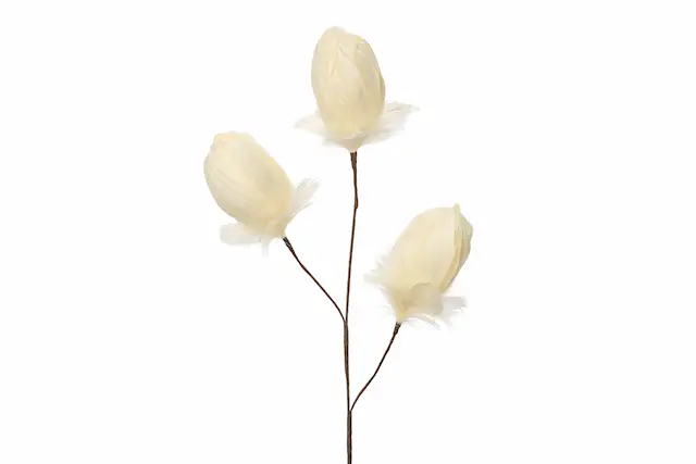 Kvist Fjäderknopp Vanilj