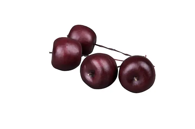 Tikku ~10 cm. Vain koristeeksi. Vedenkestävä.