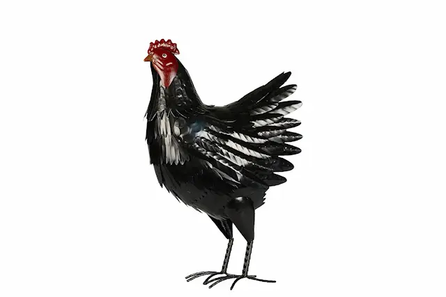 Höna Metall Svart