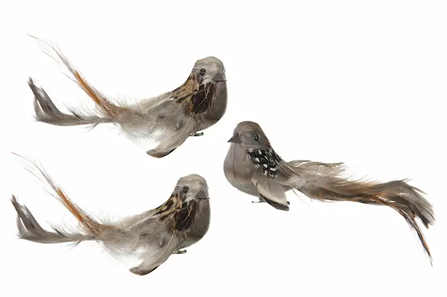 Fågel Clip Fluffy Mix