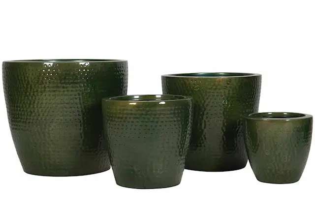 Kruka utomhus Kiana Kale Med Plugg