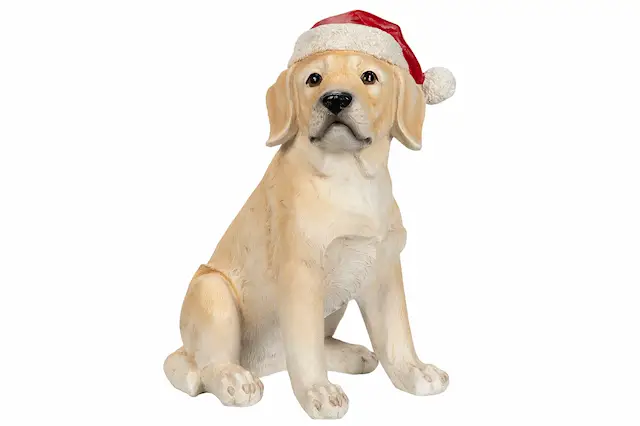 Labrador Med Tomteluva Poly